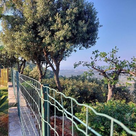 Villa Maremonti Monopoli Exteriér fotografie
