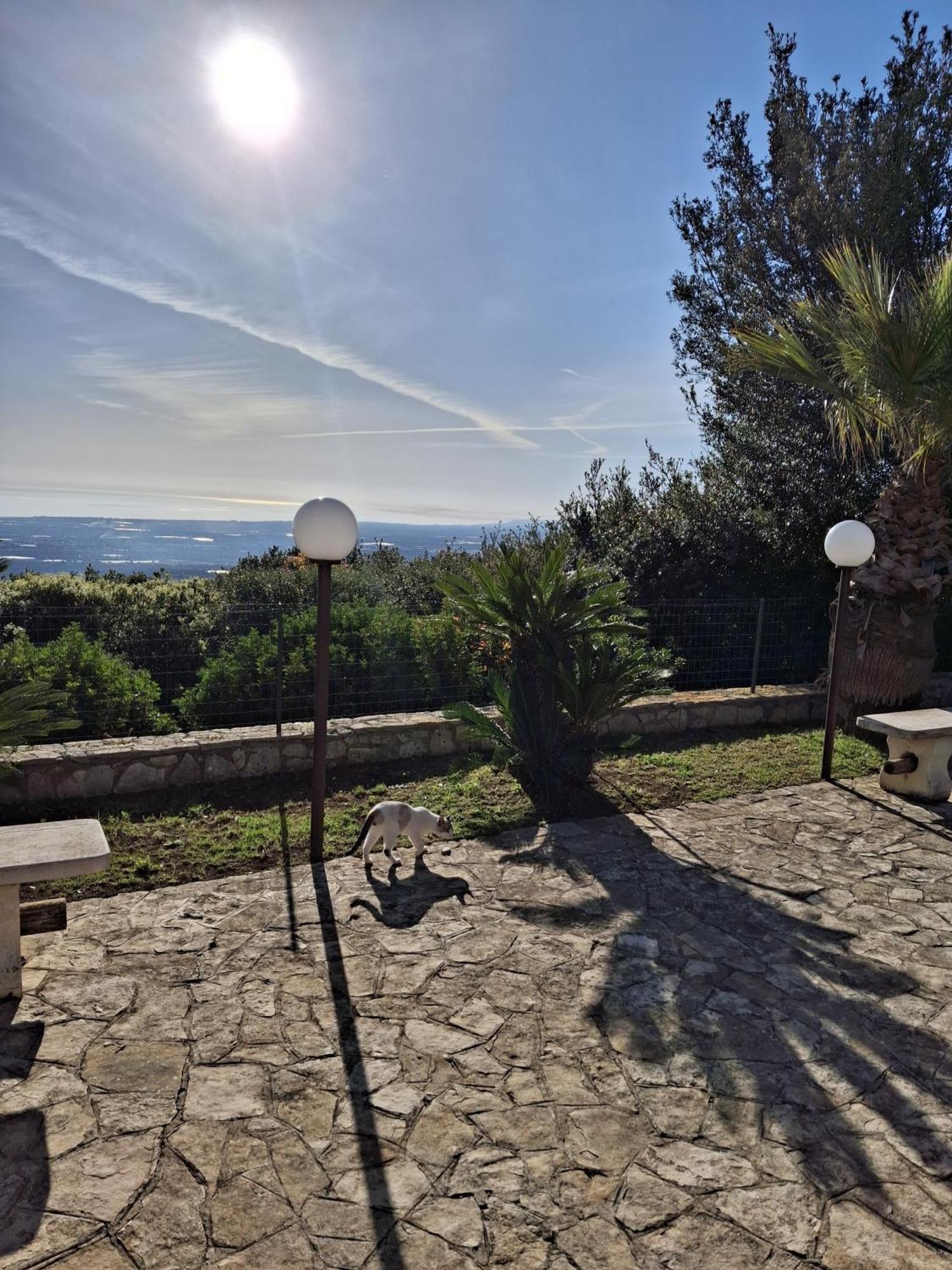 Villa Maremonti Monopoli Exteriér fotografie